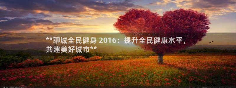 尊龙凯时网页版：**聊城全民健身 2016：提升全民健康